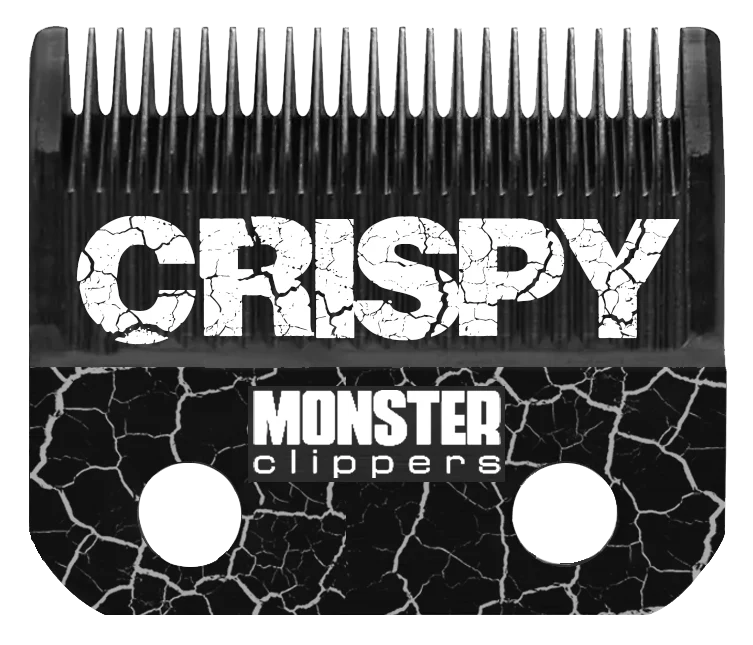 ASSASSIN CLIPPER